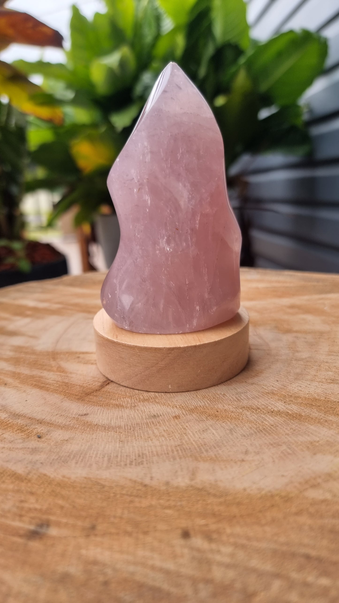 Rose Quartz Polished Flame with LED Light