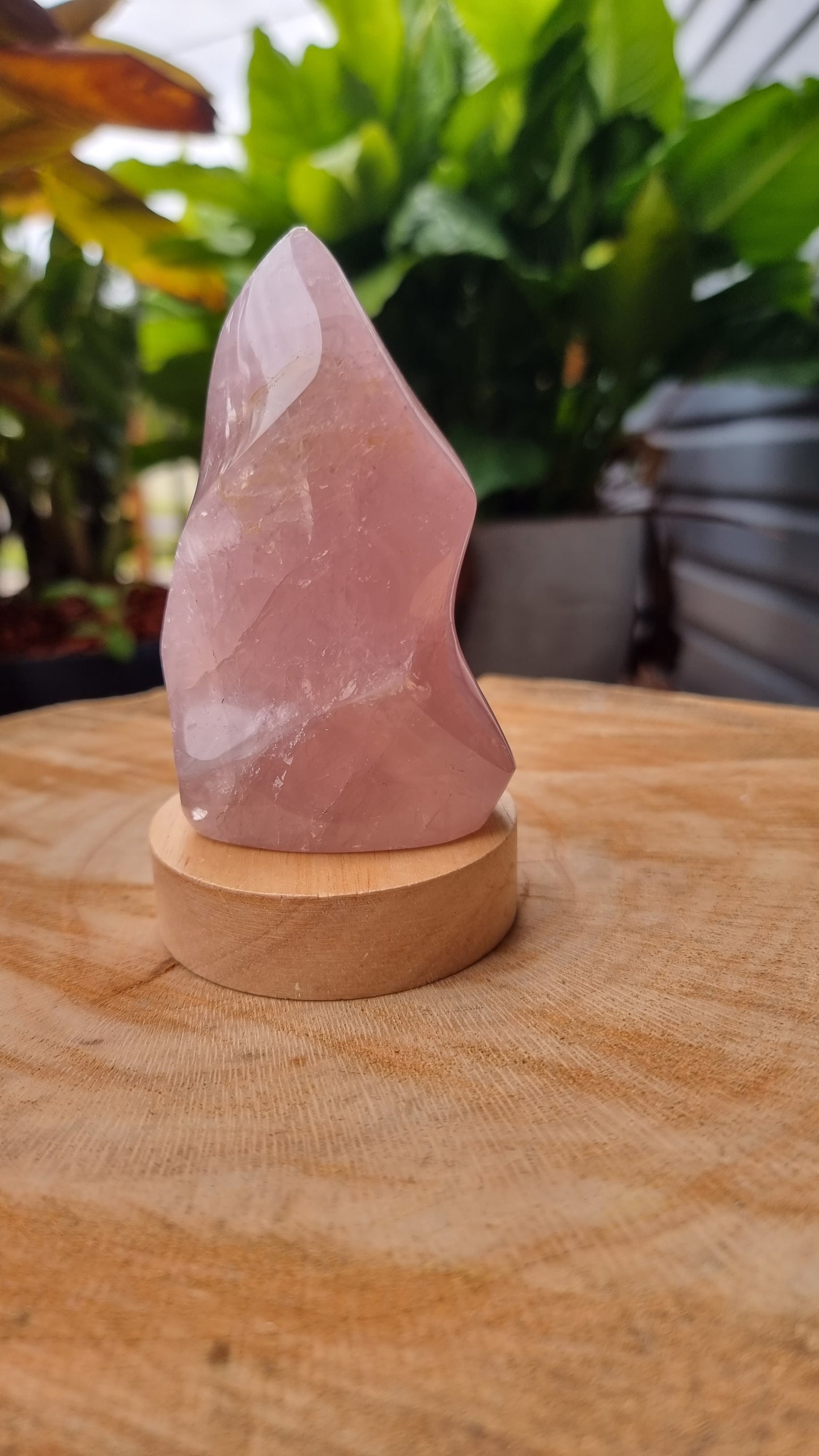 Rose Quartz Polished Flame with LED Light