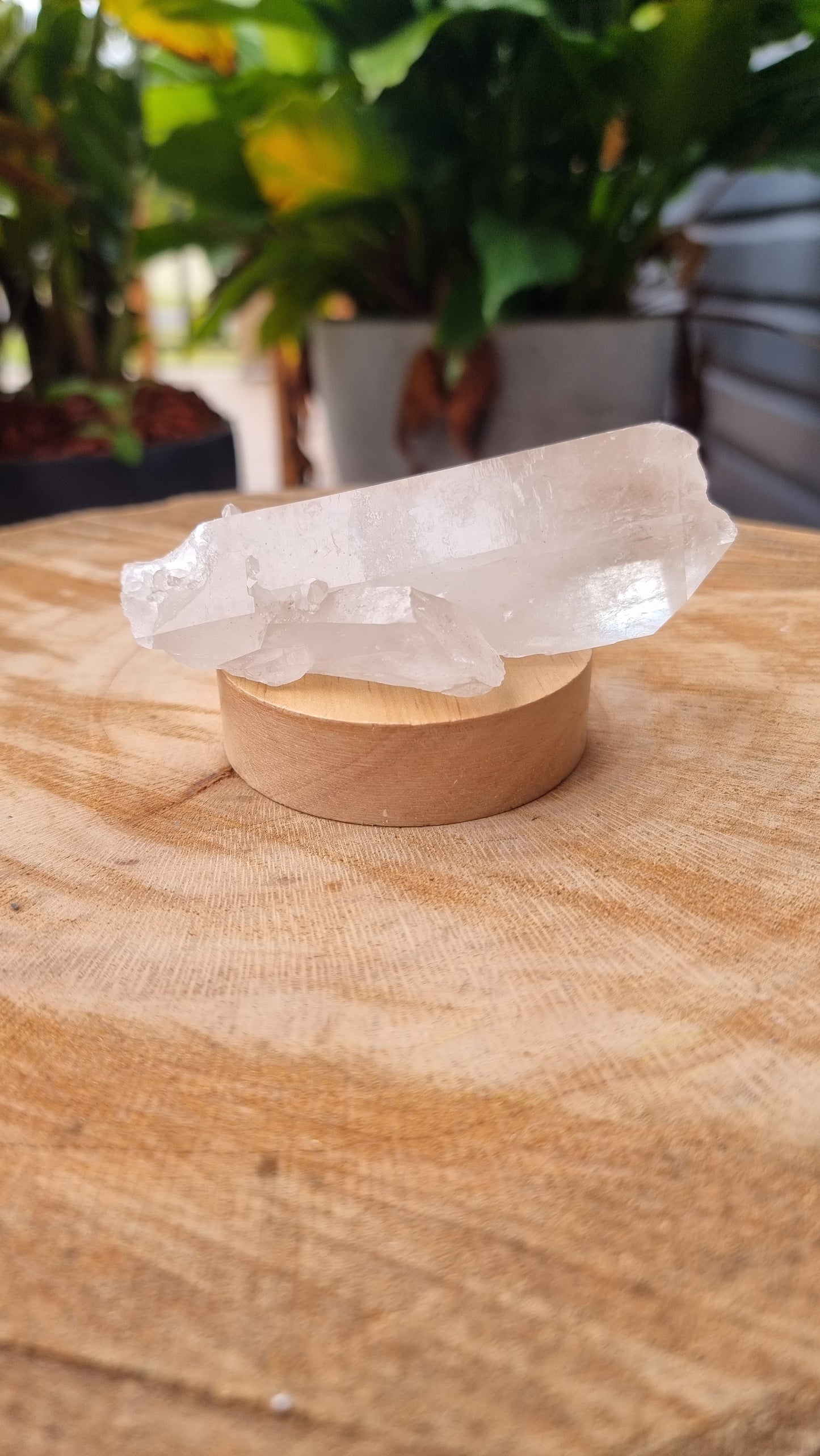 Natural Clear Quartz Cluster with LED Light Small Display Base