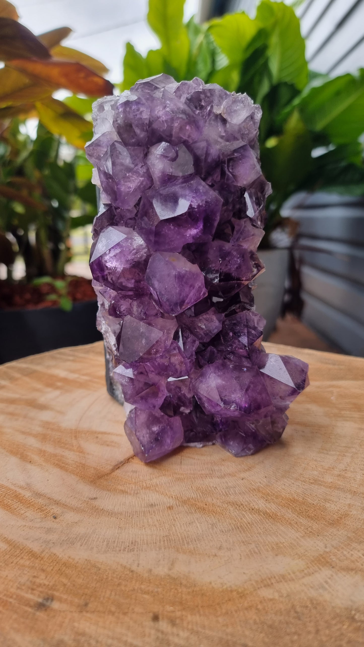 2.1kg Natural Amethyst Crystal Lamp - DS492