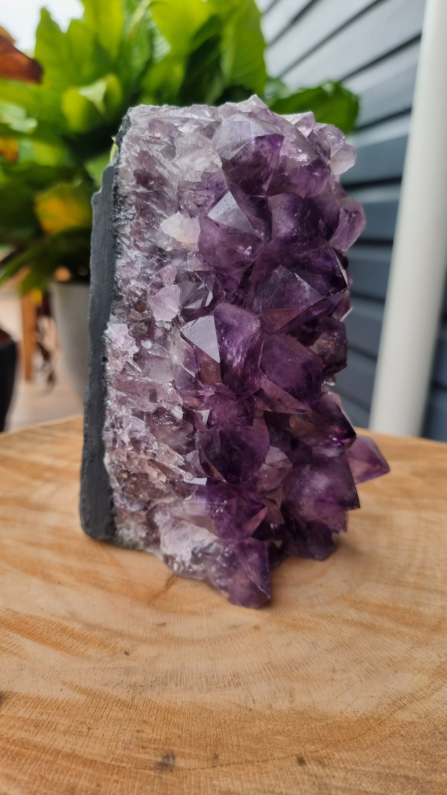2.1kg Natural Amethyst Crystal Lamp - DS492