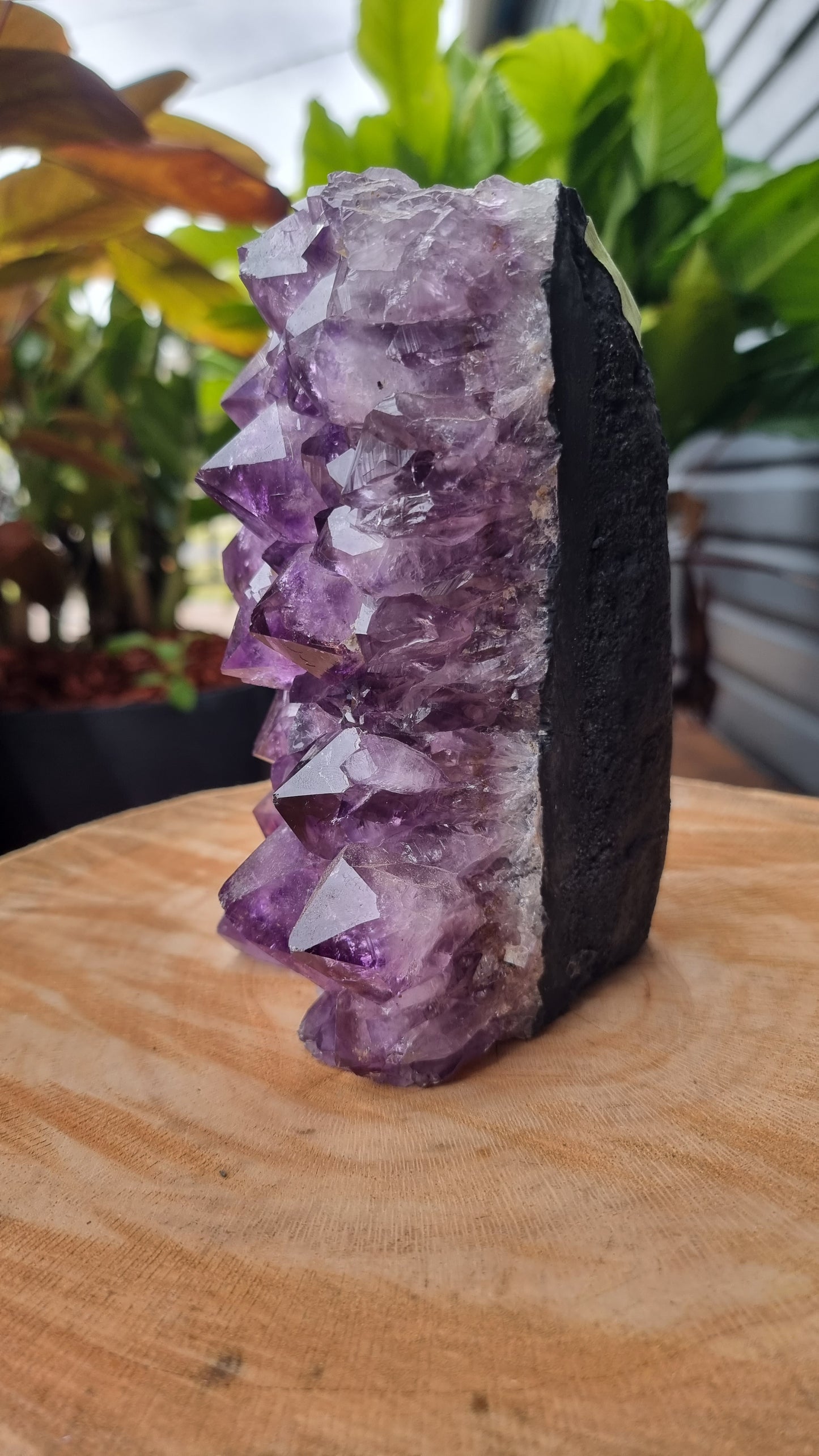 2.1kg Natural Amethyst Crystal Lamp - DS492