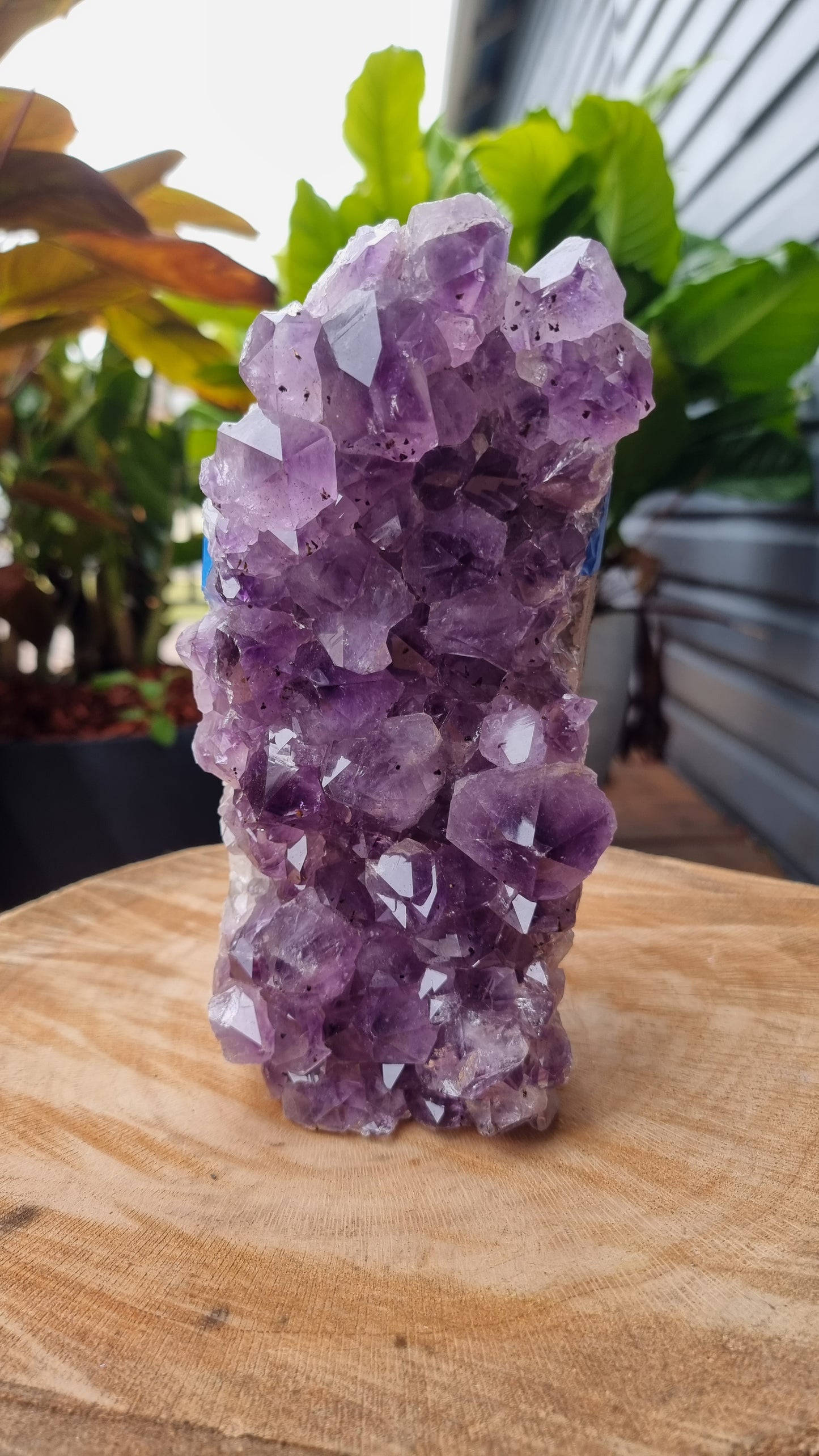 2.69kg Natural Amethyst Crystal Lamp - DN1285