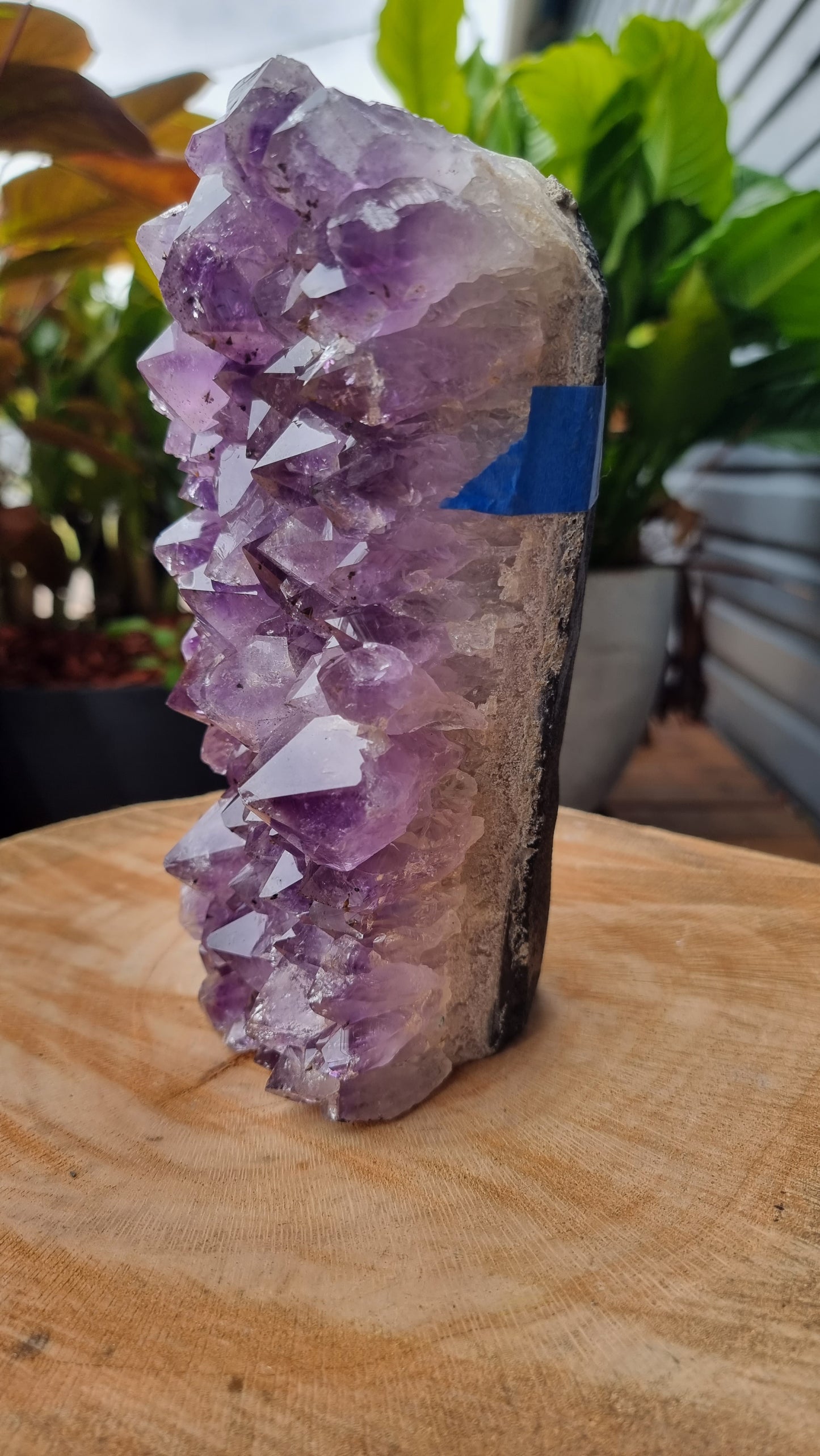 2.69kg Natural Amethyst Crystal Lamp - DN1285