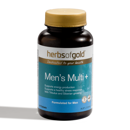 Men's Multi + - 30 tablets